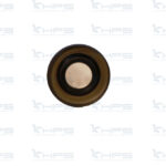 Paraolio Cod. 21208