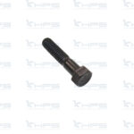 Bullone Cod. 23194
