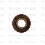 Paraolio Cod. 25268